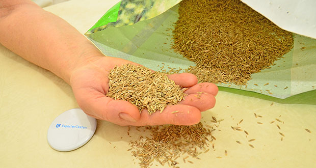 NovaGreen Reparaturrasen im akuellen Verbrauchertest