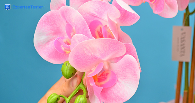 VASANTA Orchidee Test  realistischer Ersatz zur echten Pflanze