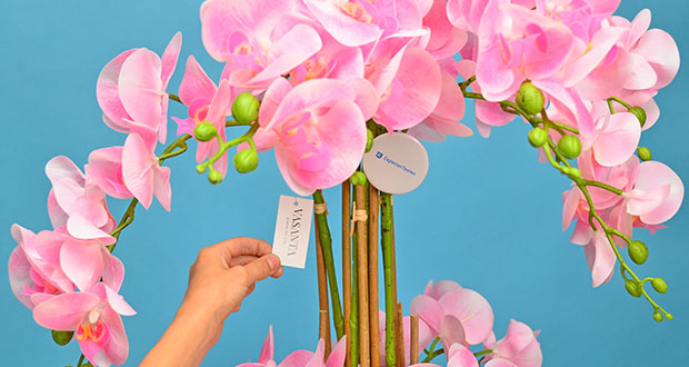 VASANTA Orchidee Test  realistischer Ersatz zur echten Pflanze