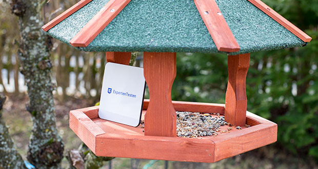 Reinigung und Wartung von einem Vogelhaus Test