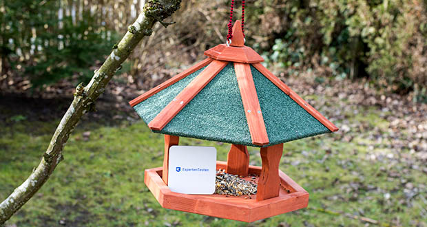 Kaufkriterien für ein neues Vogelhaus im Test