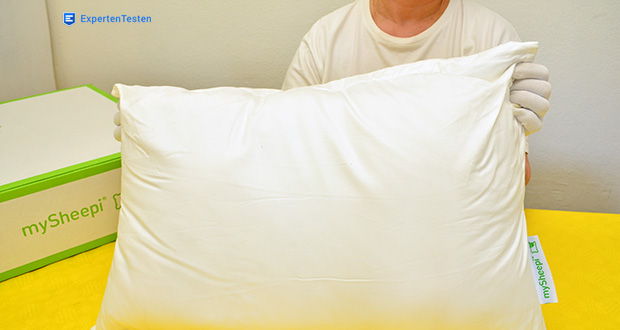 mySheepi HOME