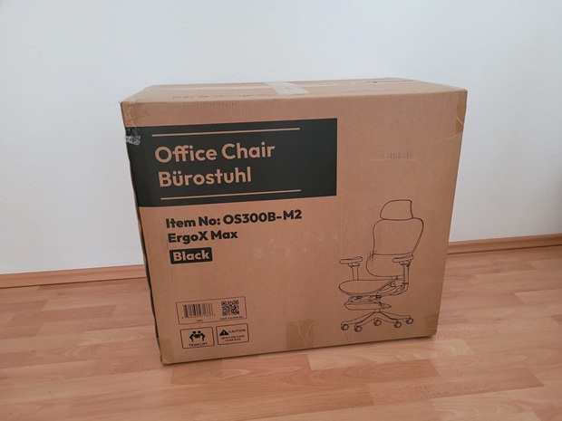 FLEXISPOT_Ergonomischer Bürostuhl ErgoX Max