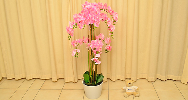 kunstpflanzen orchideen groß Künstliche Orchidee - Han main image 0