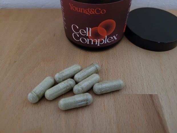 Young&Co_CellComplex