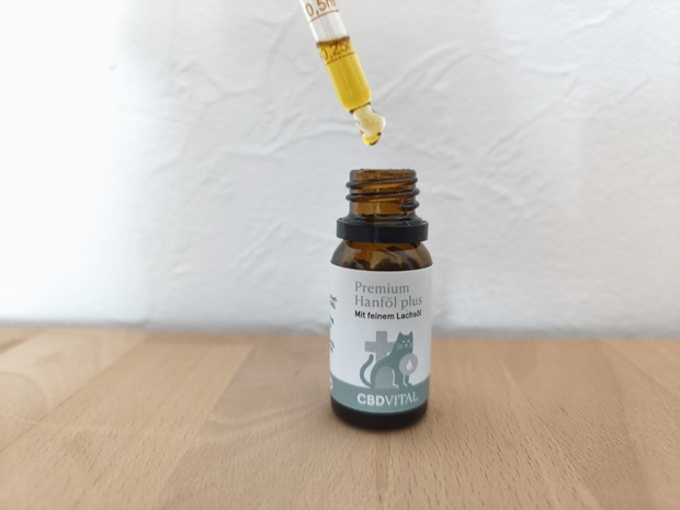 CBD Öl für Tiere CBD VITAL_CBD Katzen Test CBD VITAL_CBD Katzen CBD Öl für Tiere im neuesten Praxistest