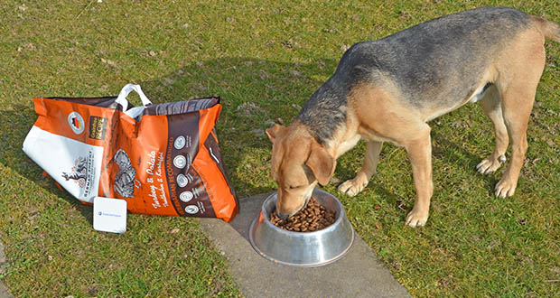German Shephy Bio Hundefutter im akuellen Verbrauchertest