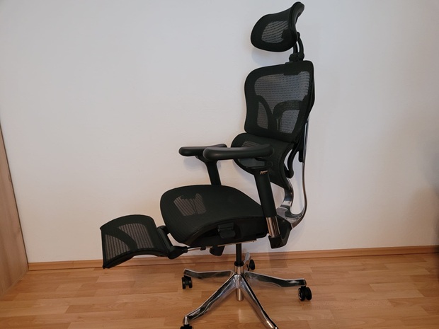 FLEXISPOT_Ergonomischer Bürostuhl ErgoX Max