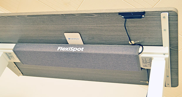 Flexispot E9